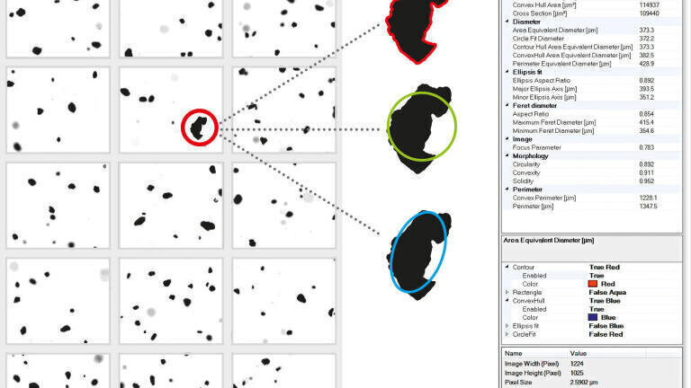 Single image analyses from the image gallery
